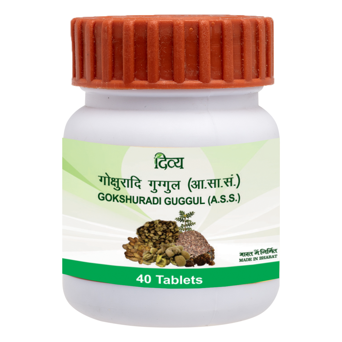 Patanjali Divya Gokshuradi Guggul - 40 tabs – Vision Pharmacy