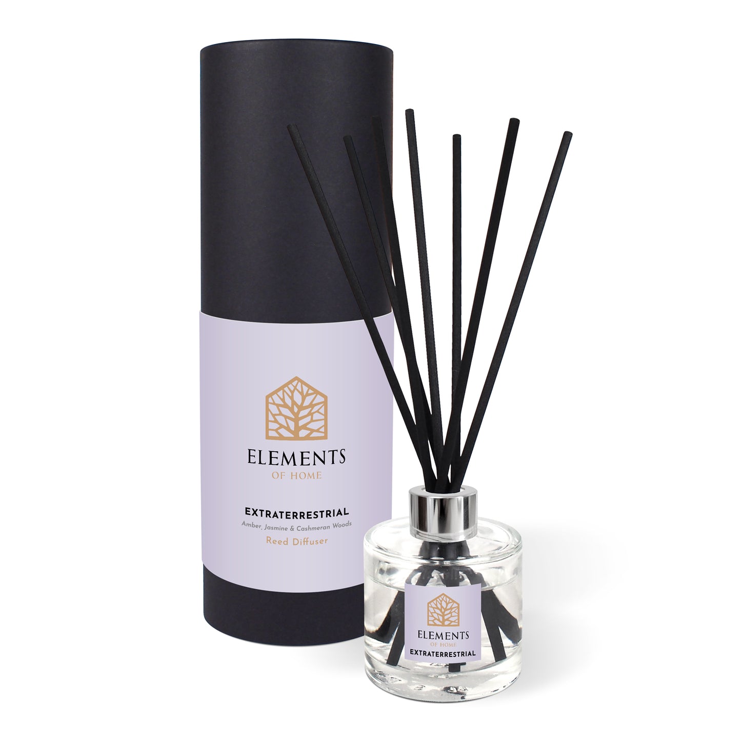 Extraterrestrial 100ml Reed Diffuser