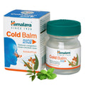 Himalaya Wellness Cold Balm Rapid Action